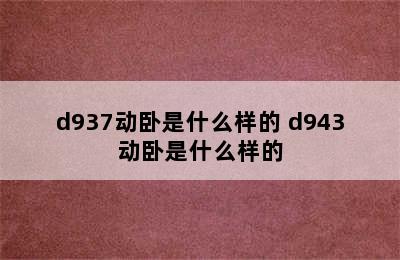 d937动卧是什么样的 d943动卧是什么样的